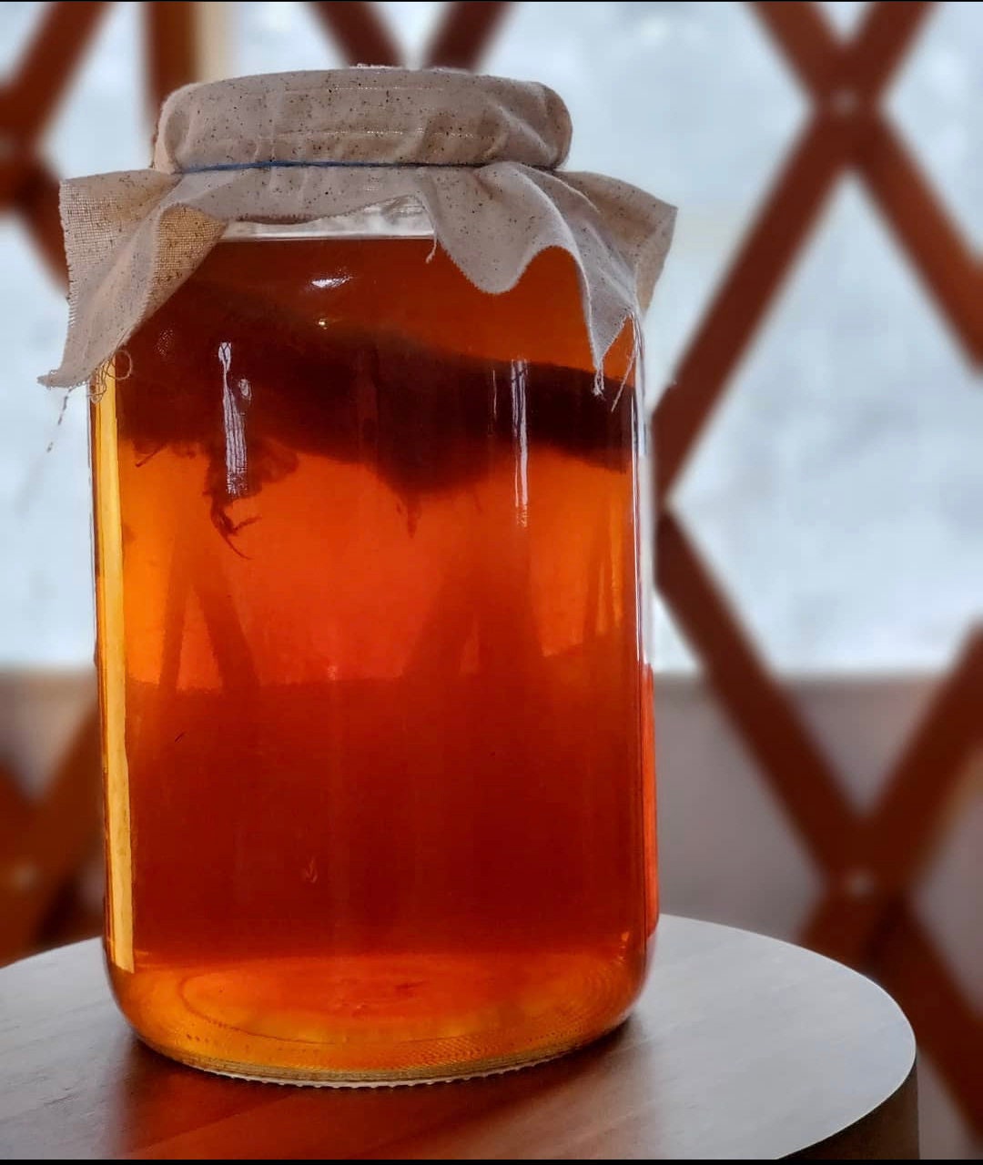 Kombucha Kit for Beginners! Everything you need - scoby, starter, teabags, sugar, and instructions included