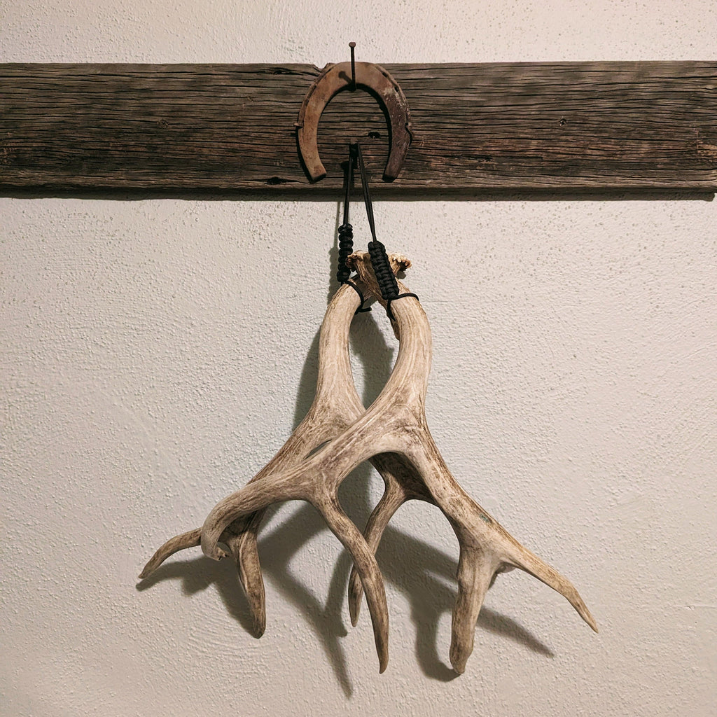 Adjustable Antler Display Strap – Shed Hanger, Shed Hunting Decor