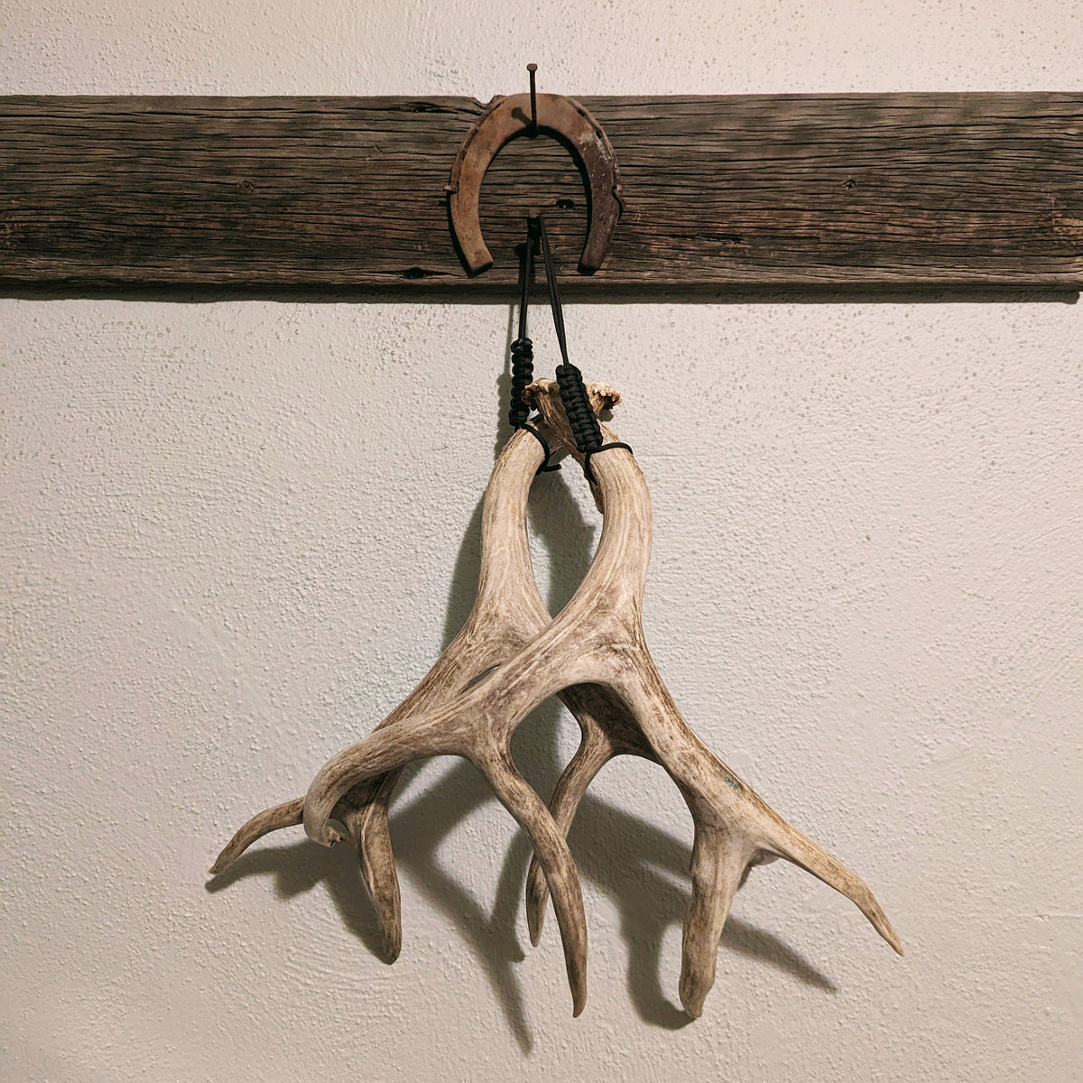 Adjustable Antler Display Strap – Shed Hanger, Shed Hunting Decor