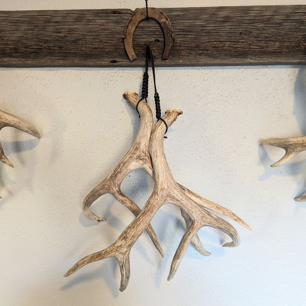 Adjustable Antler Display Strap – Shed Hanger, Shed Hunting Decor