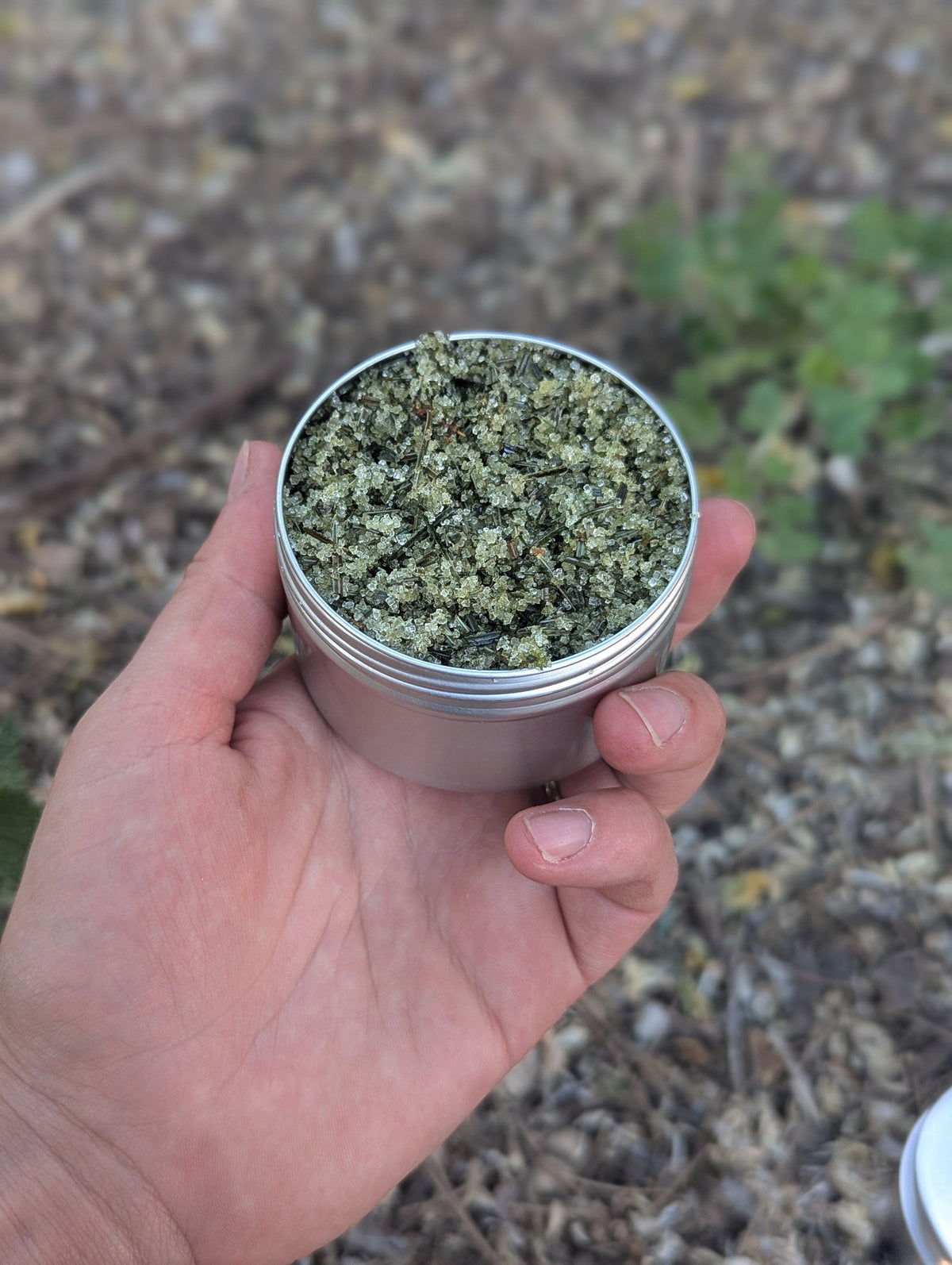 Pine Sugar Hand Scrub - Natural Exfoliating Body Scrub (4oz)
