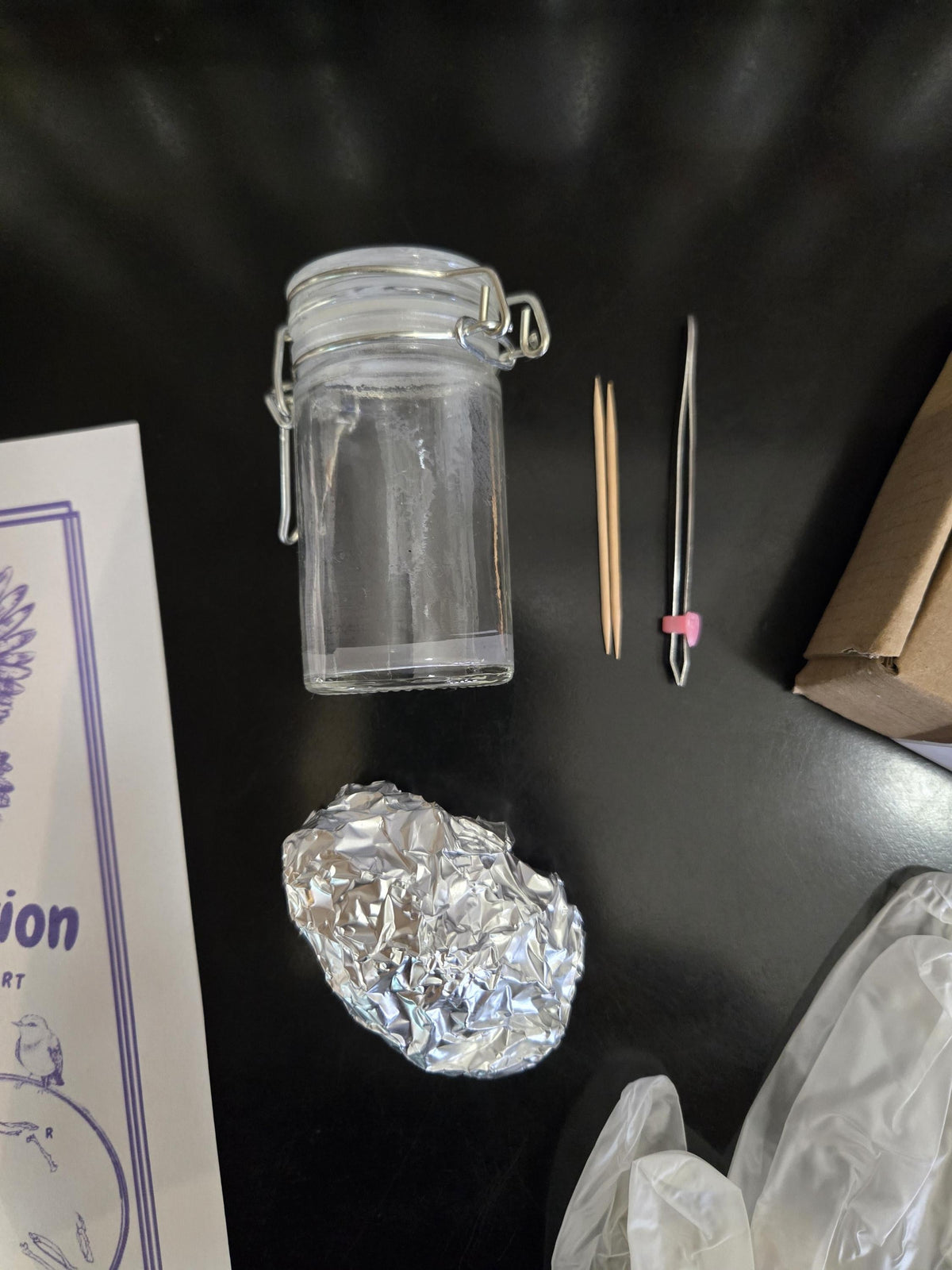 Owl Pellet Dissection Kit - everything you need! Great Horned Owl Pellets