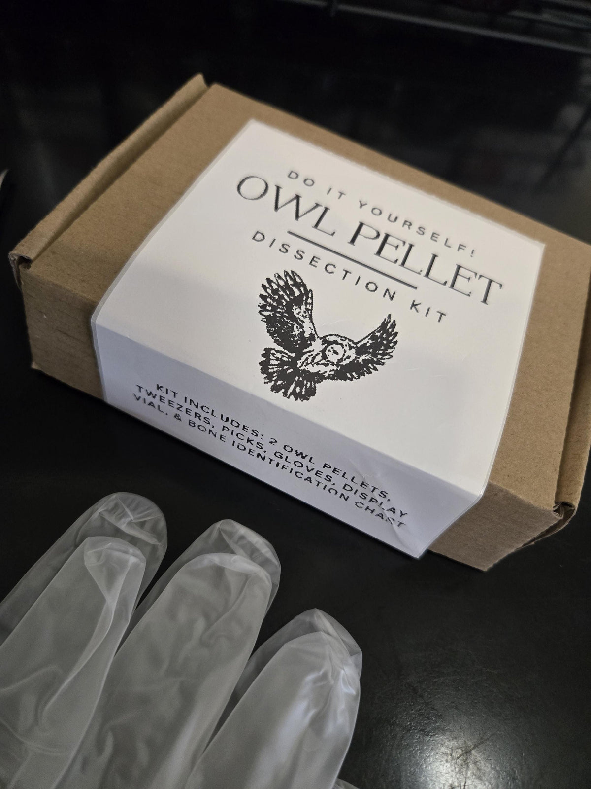 Owl Pellet Dissection Kit - everything you need! Great Horned Owl Pellets