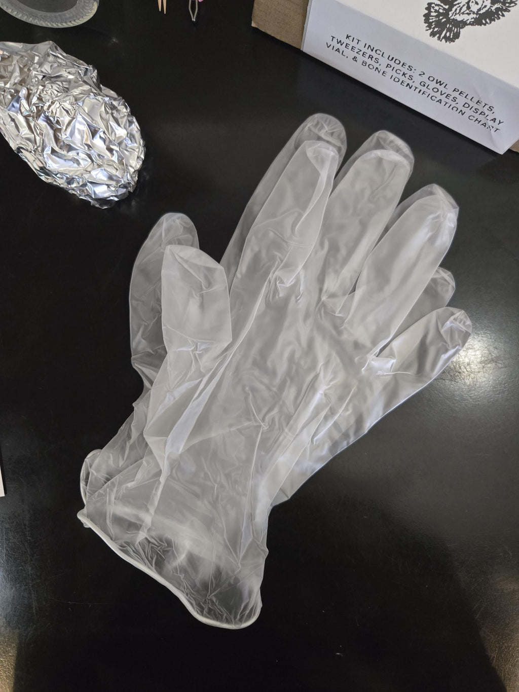 Owl Pellet Dissection Kit - everything you need! Great Horned Owl Pellets