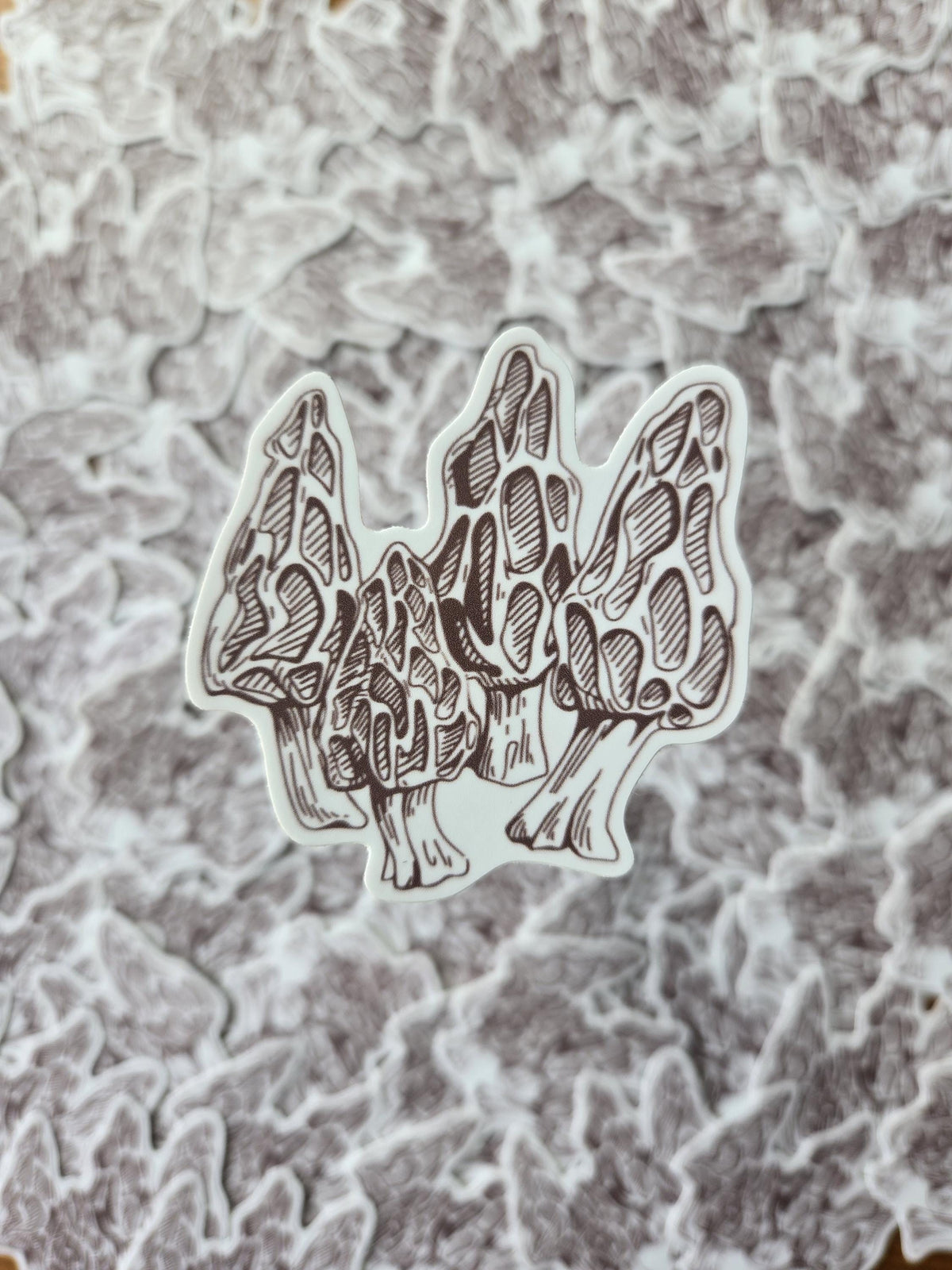 Morel 2.5" vinyl sticker weatherproof mushroom hunting morchella foraging