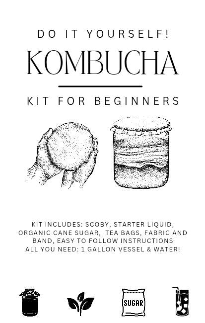 Kombucha Kit for Beginners! Everything you need - scoby, starter, teabags, sugar, and instructions included
