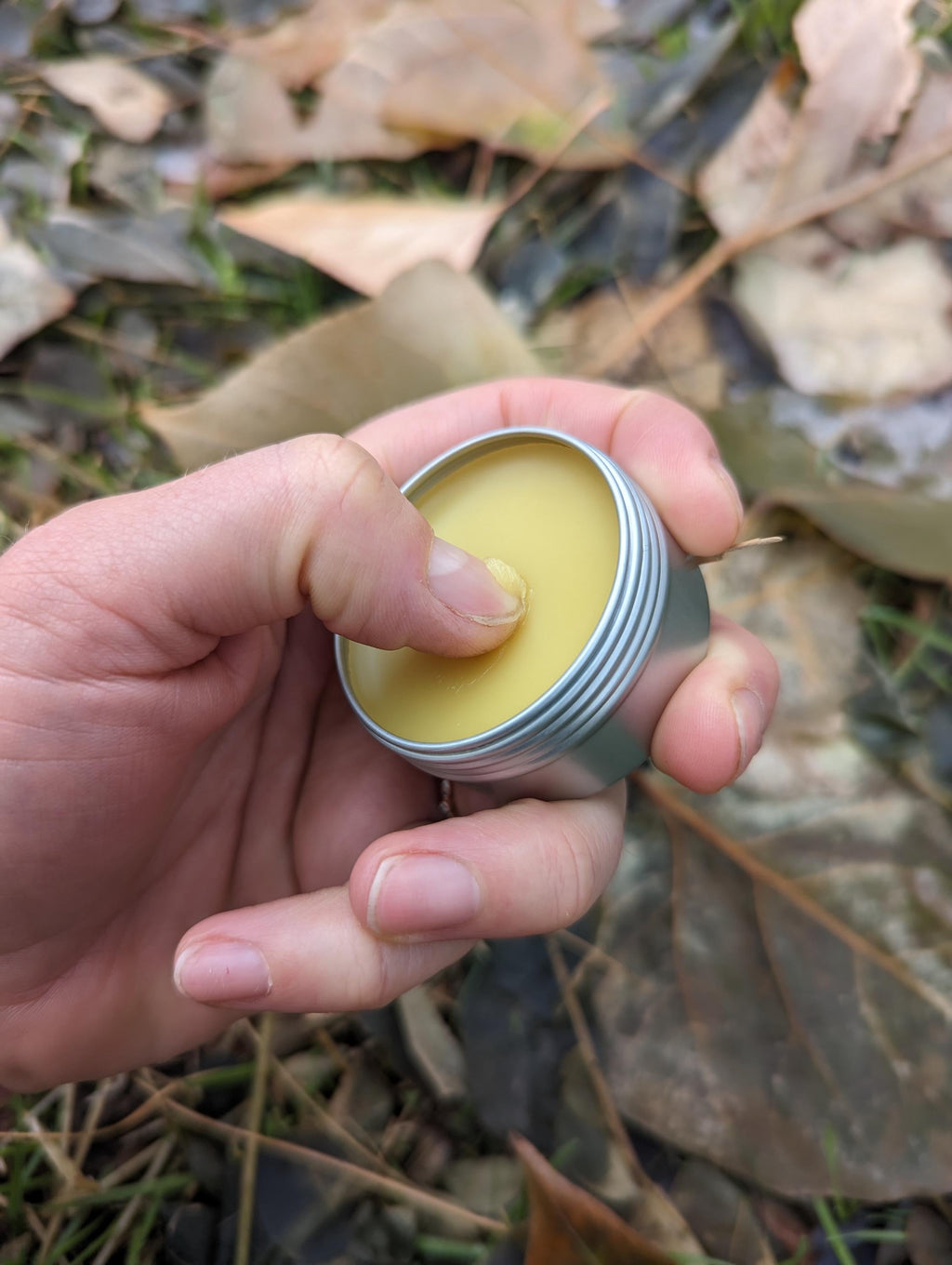 Pine Resin Scrape Salve - gift for hikers, backpackers, climbers!