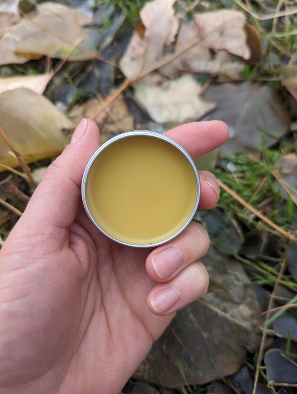Pine Resin Scrape Salve - gift for hikers, backpackers, climbers!